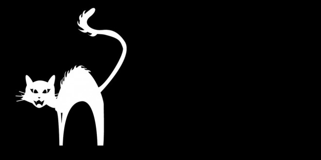 Planning Wild Side novembre 2012 – janvier 2013
